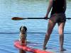 1-stand-up-paddle-board
